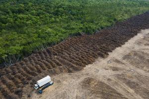Im brasilianischen Amazonasgebiet sind seit 1985 rund 52 Millionen Hektar Natur verloren gegangen – eine Fläche größer als Spanien. (Archivbild)