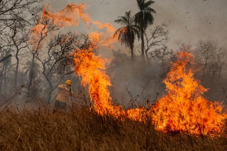 Verheerende Waldbrände herrschten im Pantanal. (Archivbild)