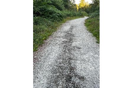 Ölverschmutzter Waldweg, Quelle: Polizei