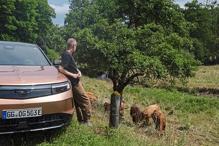Opel Travelguide