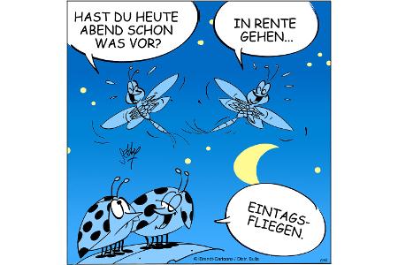 NEUEZEITEN
