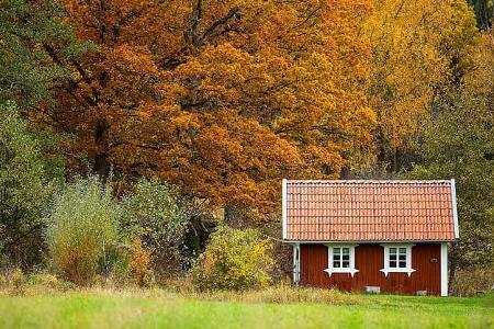 Schwedenhaus Im Herbstwald Schwedenhaus Im Herbstwald