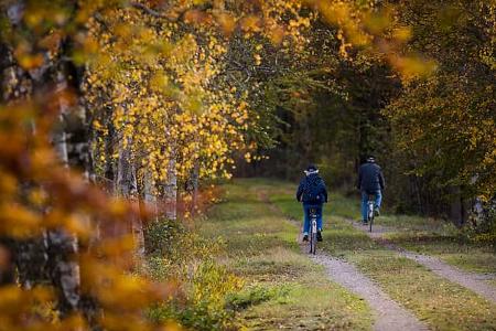 Radfahren im Åsnen Nationalpark