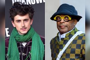 "Toller Schauspieler": Kultregisseur will mit Timothée Chalamet drehen