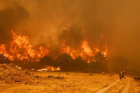Die Brandbekämpfer sehen sich teilweise mit riesigen Feuerwänden konfrontiert, die durch stürmische Winde jederzeit blitzartig die Richtung ändern können. Die Brandbekämpfer sehen sich teilweise mit riesigen Feuerwänden konfrontiert, die durch stürmische Winde jederzeit blitzartig die Richtung ändern können.