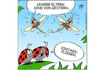 NEUEZEITEN