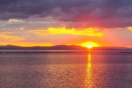 Champ, Lake Champlain