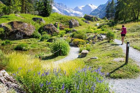 Garten, Italien, Alpen Garten, Italien, Alpen