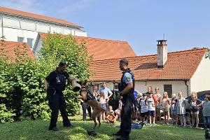 Polizeihund "Barack" bei der Arbeit
