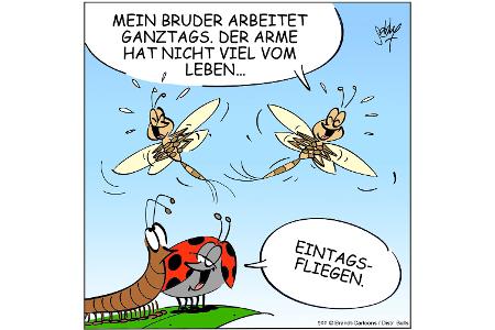 NEUEZEITEN