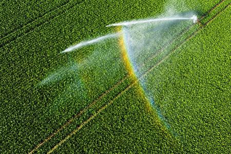 Nicht einmal fünf Prozent der landwirtschaftlichen Fläche kann bewässert werden. 