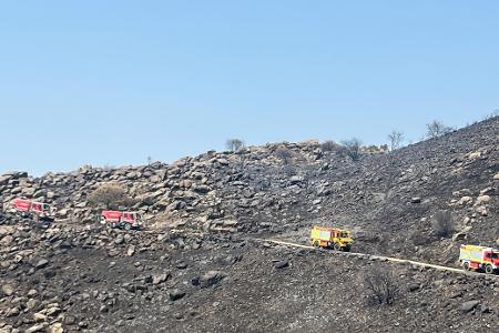 Tanklöschfahrzeuge im Einsatzgebiet
Quelle: Feuerwehr Bonn Tanklöschfahrzeuge im Einsatzgebiet
Quelle: Feuerwehr Bonn