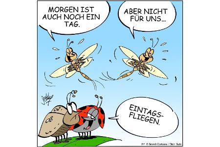 NEUEZEITEN