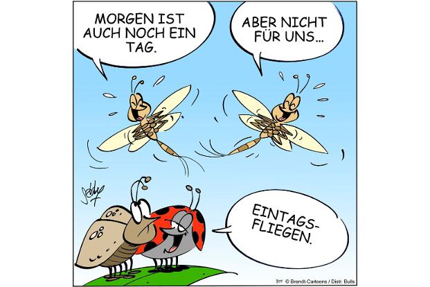 NEUEZEITEN