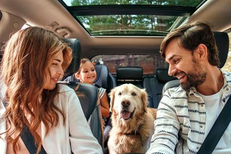 Hundebesitzer bleiben in Deutschland
