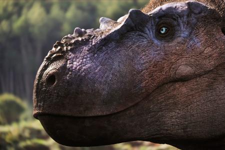Terra X: Unter Dinos - Geheimnisse der Urzeit