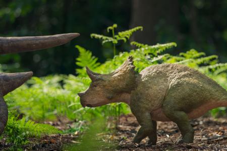 Terra X: Unter Dinos - Geheimnisse der Urzeit