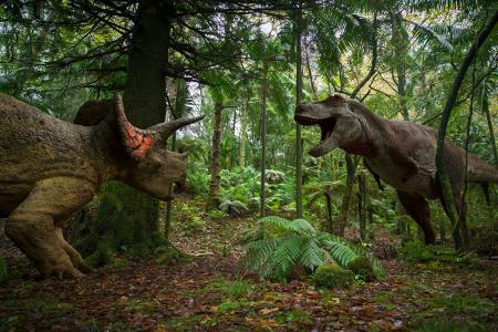 Terra X: Unter Dinos - Geheimnisse der Urzeit