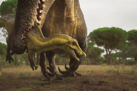 Terra X: Unter Dinos - Geheimnisse der Urzeit