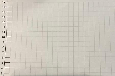Elektroschocker