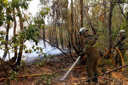 In Portugal gibt es eine leichte Entspannung bei den schweren Waldbränden. Noch aber sind rund 1.400 Feuerwehrleute im Einsatz.