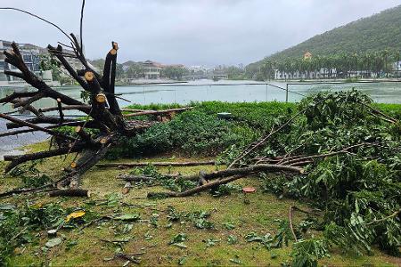 Auf der chinesischen Insel Hainan hat 