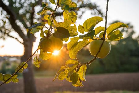 Die Sonne zeigt sich bis zur Wochenmitte noch öfter in Deutschland. Die Sonne zeigt sich bis zur Wochenmitte noch öfter in Deutschland.