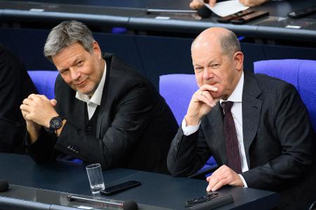 Unter Regierungschef Olaf Scholz (SPD) war Habeck Vizekanzler. (Archivbild)