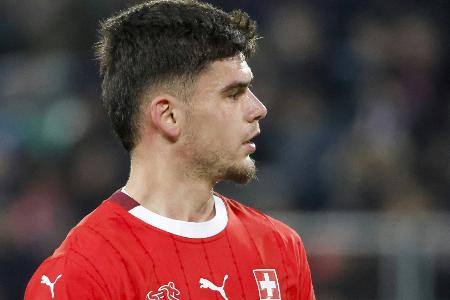 Hoffenheim verpflichtet Schweizer Hajdari Hoffenheim verpflichtet Schweizer Hajdari