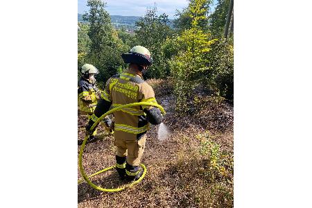 Waldbrand Waldbrand