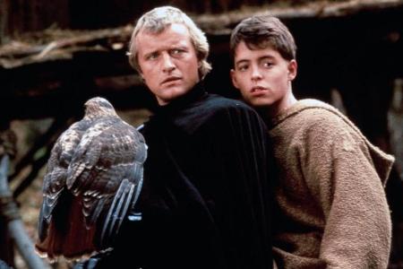 Der Tag des Falken (1985)