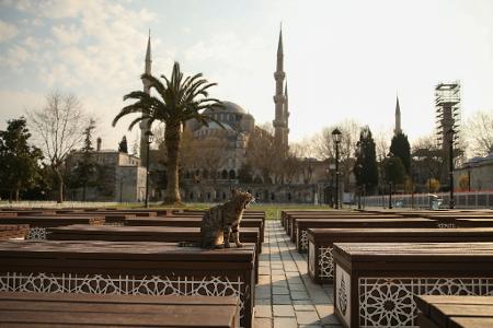 Das Kopftuch ist in der Türkei weiter umstritten, auch abseits von Gebetsstätten wie etwa die Blaue Moschee in Istanbul. (Archivbild)