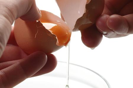 Eier