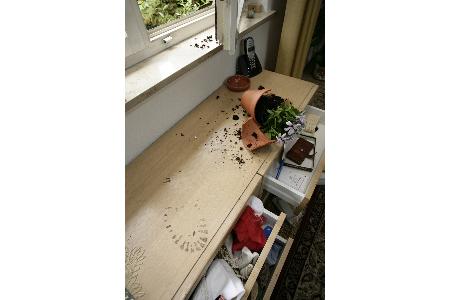 Pressebild Verwüstung nach einem Einbruch Pressebild Verwüstung nach einem Einbruch