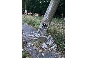 © Feuerwehr Dresden
Der beschädigter Mast musste durch die Feuerwehr gesichert und kontrolliert abgelegt werden.