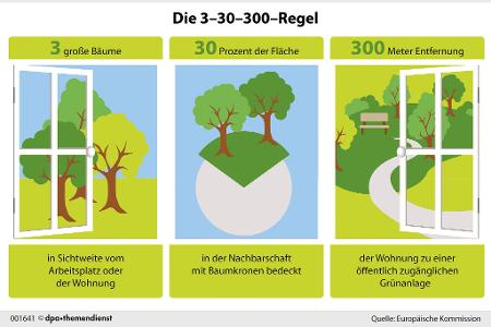 Die 3-30-300-Regel wurde von Cecil Konijnendijk, einem Urban-Greening-Experten, für gesündere Städte entwickelt. Dass die Nähe von Bäumen und Grün auch unser seelisches Wohlbefinden stärken kann, haben mehrere Studien erwiesen.