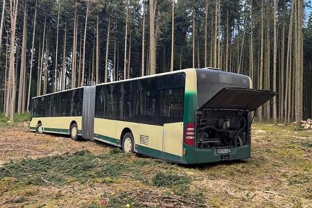 Omnibus, Gelenkbus im Wald