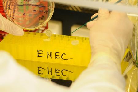 EHEC-Infektionen in Deutschland EHEC-Infektionen in Deutschland
