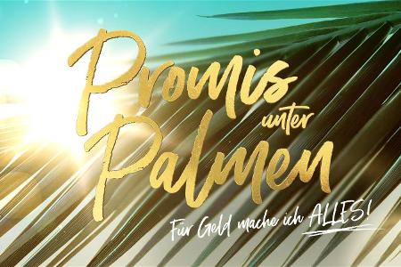 Promis unter Palmen - Für Geld mache ich alles! Promis unter Palmen - Für Geld mache ich alles!