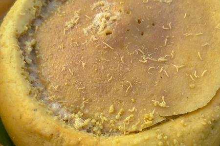 Casu Marzu