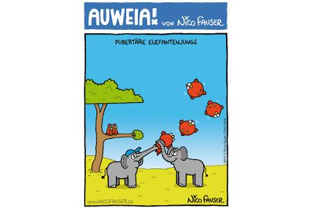 AUWEIA