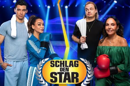Ochsenknecht-Kampfansage: Ochsenknecht-Kampfansage: