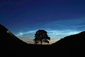 Der Sycamore Gap Tree in England war einst ein beliebtes Fotomotiv. (Archivfoto)