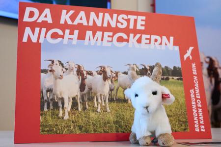 Brandenburg wirbt mit einer neuen Kampagne für Zuzüge aus Westdeutschland. (Archivbild)