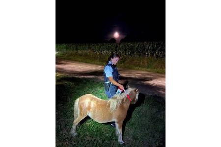 Pony KW36