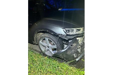 Audi kollidierte mit Wildschweinen