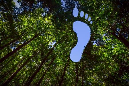 Bio ist immer klimaschonend 
