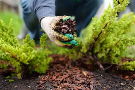 Übergangszeit im Garten Übergangszeit im Garten