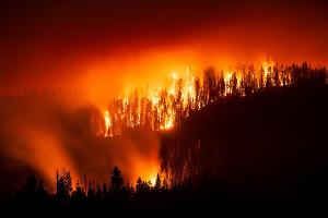 Das "Garnet Fire" bedroht Riesenmammutbäume im Waldgebiet McKinley Grove.