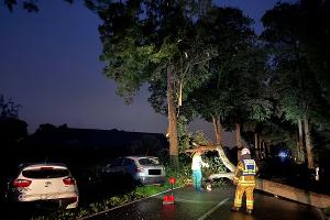 Baum auf Straße (c) Fw Tönisvorst